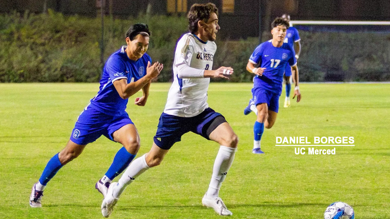 Playoffs Kick Off on Nov. 7